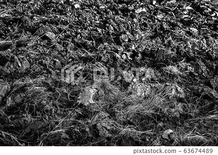 Arable land  63674489