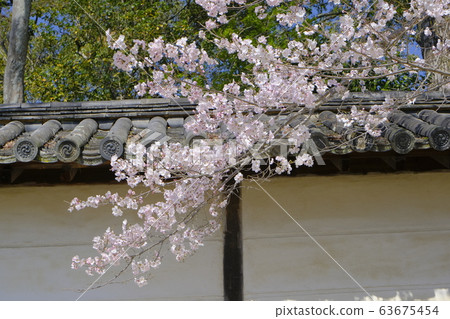 Daigoji Sanjoin 63675454