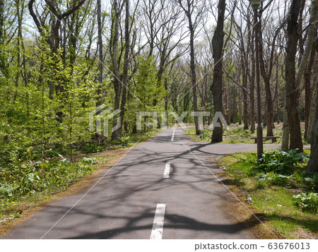 在公園裡騎自行車的路 63676013