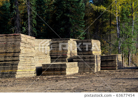 Piles of swamp mats used to build roads in muskeg Piles of swamp mats used to build roads in muskeg 63677454