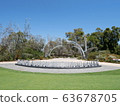 Botanic garden 63678705