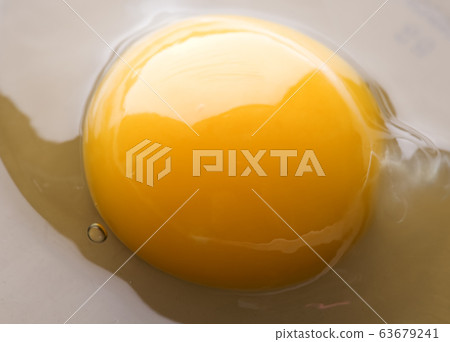 fried eggs 63679241