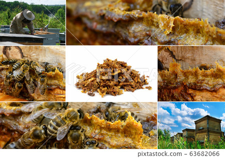 Propolis in the middle of a hive with bees. Bee glue. Bee products. Apitherapy. Propolis treatment. How it helps heal wounds and fight bacteria. Photo collage on beekeeping theme. Propolis in the middle of a hive with bees. Bee glue. Bee products. Apitherapy. Propolis treatment. How it helps heal wounds and fight bacteria. Photo collage on beekeeping theme. 63682066