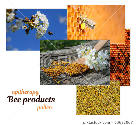 Pollen. The healing properties of pollen. As bees collect pollen. Apitherapy. Photo collage on beekeeping theme. Pollen. The healing properties of pollen. As bees collect pollen. Apitherapy. Photo collage on beekeeping theme. 63682067