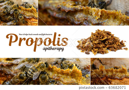 Propolis in the middle of a hive with bees. Bee glue. Bee products. Apitherapy. Propolis treatment. How it helps heal wounds and fight bacteria. Photo collage on beekeeping theme. Propolis in the middle of a hive with bees. Bee glue. Bee products. Apitherapy. Propolis treatment. How it helps heal wounds and fight bacteria. Photo collage on beekeeping theme. 63682071