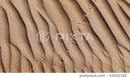 Sand desert in Oman, ripple structure with traces Sand desert in Oman, ripple structure with traces 63682388
