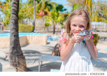 Small sea turtle looking from the water 63683266