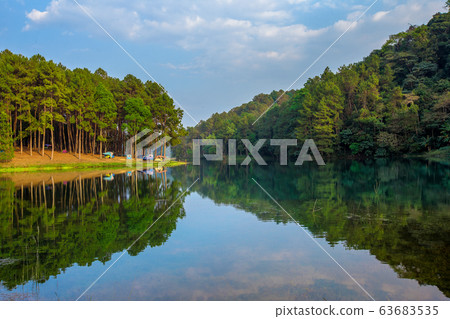 Thailand, Camping, Tent, Woodland, Forest 63683535
