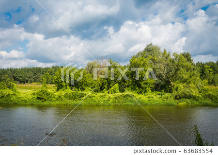 Summer rural river landscape Summer rural river landscape 63683554