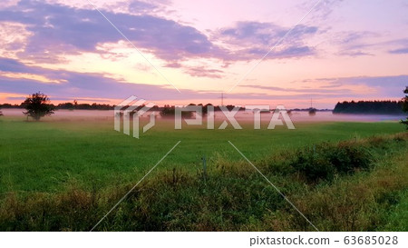 Foggy field in the north german countryside summer 63685028