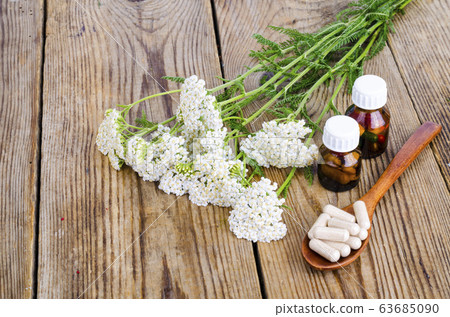Traditional medicine concept, medicinal plants and Traditional medicine concept, medicinal plants and 63685090