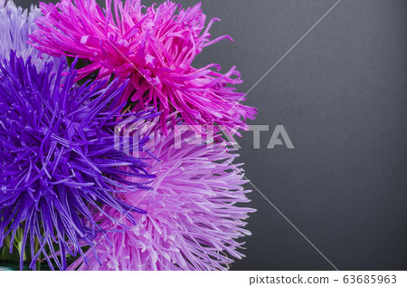 Autumn multi-colored asters on black background. 63685963