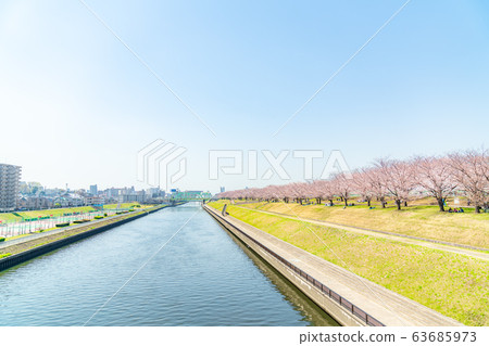 日本東京北區赤羽櫻月木的櫻花 日本東京北區赤羽櫻月木的櫻花 63685973