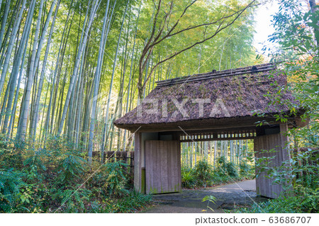 The thatched roof gate The thatched roof gate 63686707