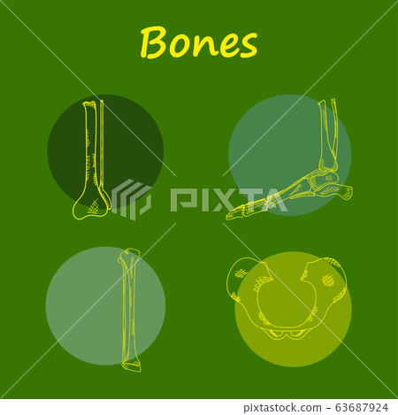 Set vector line icons, sign and symbols in flat design medicine and health with elements for mobile concepts and web apps. Collection modern infographic logo and pictogram. Set vector line icons, sign and symbols in flat design medicine and health with elements for mobile concepts and web apps. Collection modern infographic logo and pictogram. 63687924