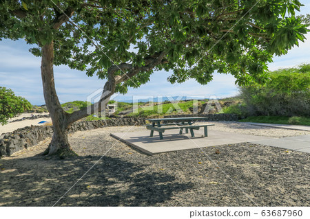 在夏威夷島,凱魯瓦·柯納,馬尼尼奧瓦利海灘(庫阿灣)上的長凳 在夏威夷島,凱魯瓦·柯納,馬尼尼奧瓦利海灘(庫阿灣)上的長凳 63687960