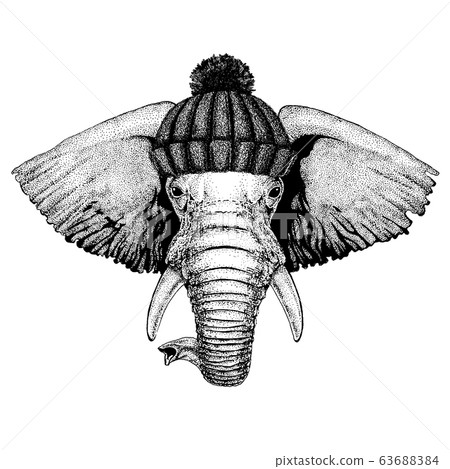 African or indian Elephant Cool animal wearing knitted winter hat. Warm headdress beanie Christmas cap for tattoo, t-shirt, emblem, badge, logo, patch 63688384