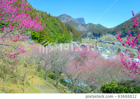 Red plum village and view 63688812