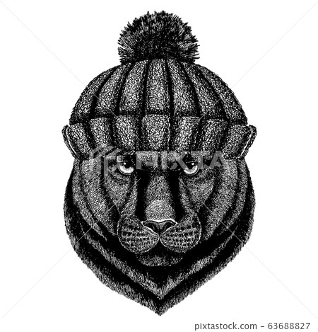 Panther Puma Cougar Wild cat Cool animal wearing knitted winter hat. Warm headdress beanie Christmas cap for tattoo, t-shirt, emblem, badge, logo, patch Panther Puma Cougar Wild cat Cool animal wearing knitted winter hat. Warm headdress beanie Christmas cap for tattoo, t-shirt, emblem, badge, logo, patch 63688827