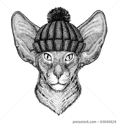 Oriental cat Cool animal wearing knitted winter hat. Warm headdress beanie Christmas cap for tattoo, t-shirt, emblem, badge, logo, patch Oriental cat Cool animal wearing knitted winter hat. Warm headdress beanie Christmas cap for tattoo, t-shirt, emblem, badge, logo, patch 63688829