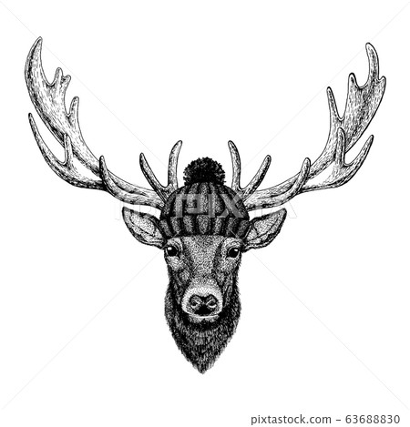 Deer Cool animal wearing knitted winter hat. Warm headdress beanie Christmas cap for tattoo, t-shirt, emblem, badge, logo, patch Deer Cool animal wearing knitted winter hat. Warm headdress beanie Christmas cap for tattoo, t-shirt, emblem, badge, logo, patch 63688830