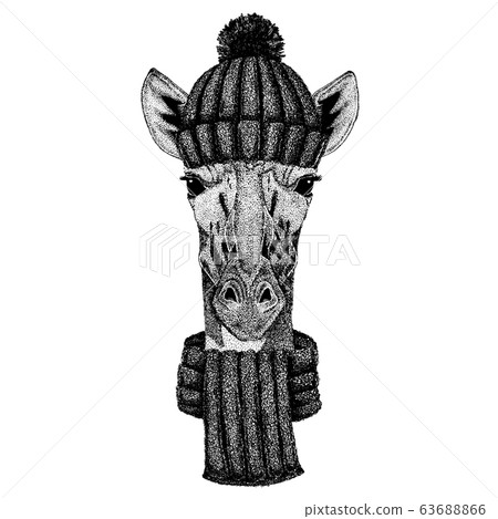 Camelopard, giraffe Cool animal wearing knitted winter hat. Warm headdress beanie Christmas cap for tattoo, t-shirt, emblem, badge, logo, patch Camelopard, giraffe Cool animal wearing knitted winter hat. Warm headdress beanie Christmas cap for tattoo, t-shirt, emblem, badge, logo, patch 63688866