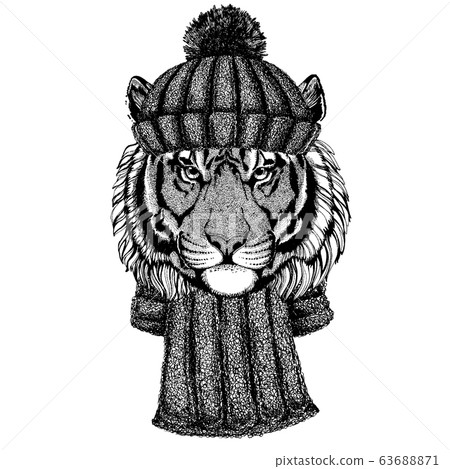 Wild tiger Cool animal wearing knitted winter hat. Warm headdress beanie Christmas cap for tattoo, t-shirt, emblem, badge, logo, patch 63688871