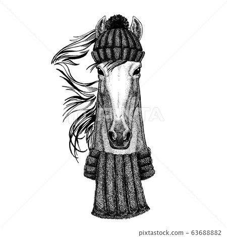 Horse, hoss, knight, steed, courser 