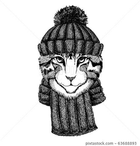 Image of domestic cat Cool animal wearing knitted winter hat. Warm headdress beanie Christmas cap for tattoo, t-shirt, emblem, badge, logo, patch Image of domestic cat Cool animal wearing knitted winter hat. Warm headdress beanie Christmas cap for tattoo, t-shirt, emblem, badge, logo, patch 63688893