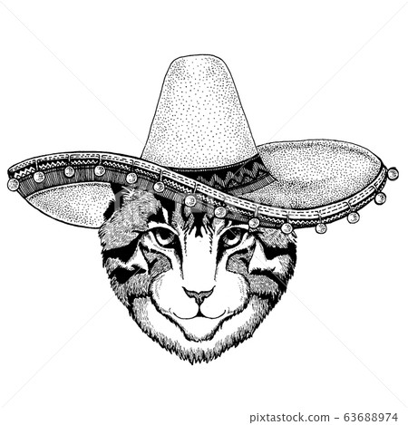 Cat wearing traditional mexican hat. Classic headdress, fiesta, party. 63688974