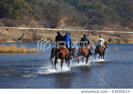 riding riding 63689014
