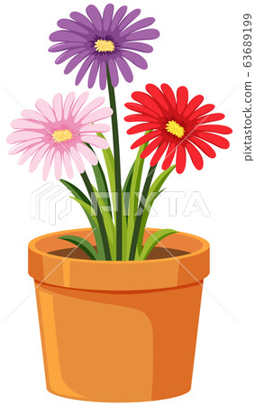 Pot of colorful flowers on white background 63689199