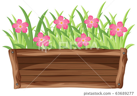 Pink flowers in wooden bucket on white background - Stock Illustration