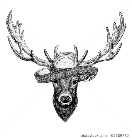 Deer wearing traditional mexican hat. Classic headdress, fiesta, party. 63689783