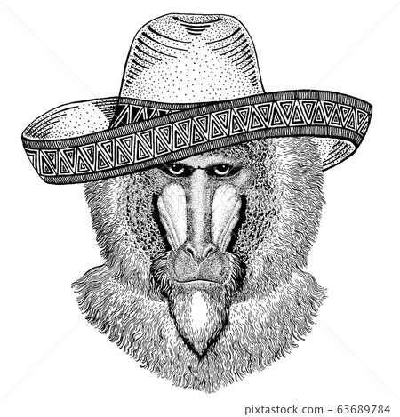 Monkey, baboon, dog-ape, ape wearing traditional mexican hat. Classic headdress, fiesta, party. 63689784