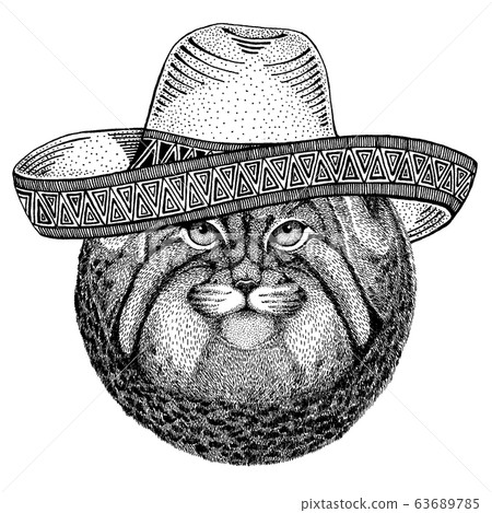 Manul, wild cat wearing traditional mexican hat. Classic headdress, fiesta, party. 63689785
