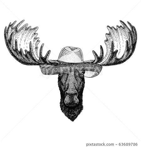 wearing traditional mexican hat. Classic headdress, fiesta, party. 63689786