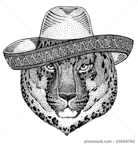 Leopard wearing traditional mexican hat. Classic headdress, fiesta, party. 63689788