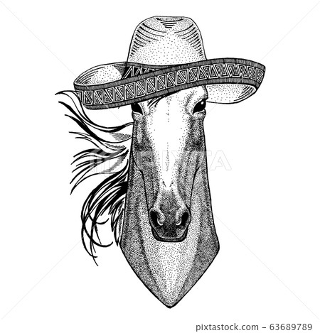 Horse, hoss, knight, steed, courser wearing traditional mexican hat. Sombrero 63689789