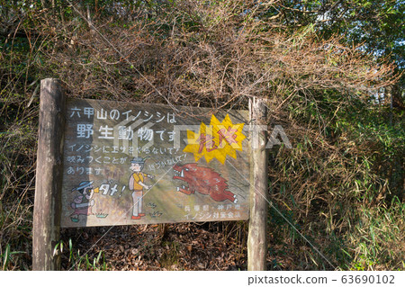 Mount Rokko (Fubukiiwa-Amaga Pass) 63690102