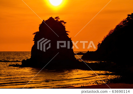 發光,花,Anmyeondo,Taeanhaean國家公園,Taean-gun,忠清南道,韓國 發光,花,Anmyeondo,Taeanhaean國家公園,Taean-gun,忠清南道,韓國 63690114
