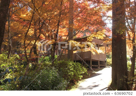 Autumn leaves scenery of Kyoto Ohara Sanzenin 63690702