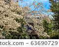 奈良公園櫻花 63690729