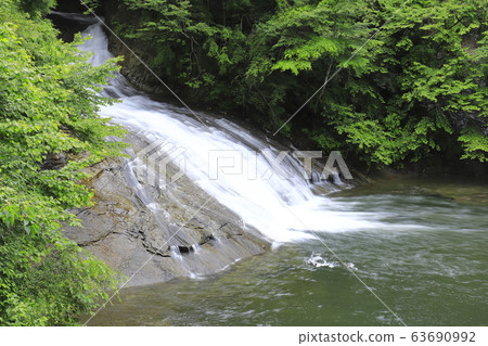 Yoro Gorge“ Awamata Falls”擁有新鮮的綠色植物和豐富的水 63690992