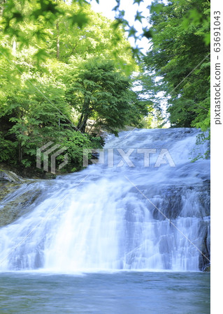 Yoro Gorge "Awamata Falls" with fresh greenery and abundant water Yoro Gorge "Awamata Falls" with fresh greenery and abundant water 63691043