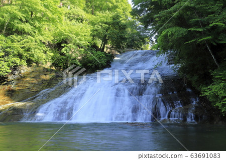 Yoro Gorge "Awamata Falls" with fresh greenery and abundant water Yoro Gorge "Awamata Falls" with fresh greenery and abundant water 63691083