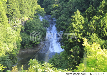 "Shibata Waterfall" seen from Yoro Valley observation deck Fresh green season "Shibata Waterfall" seen from Yoro Valley observation deck Fresh green season 63691114