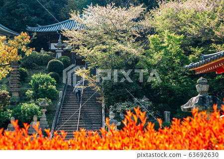 Shikoku pilgrimage Kan'onji temple and Jinnein temple in Kagawa, Japan Shikoku pilgrimage Kan'onji temple and Jinnein temple in Kagawa, Japan 63692630
