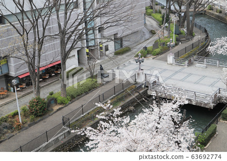 廣瀨川和前橋文學館 63692774