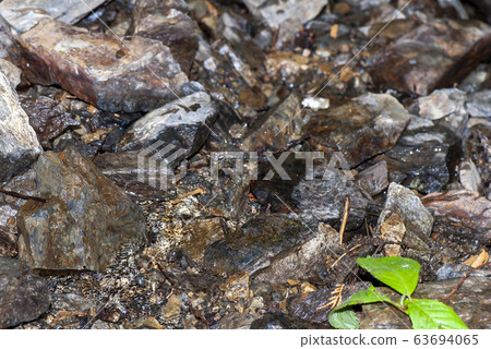 Mukasa Tombo 63694065